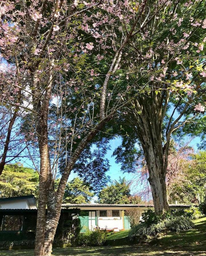 מלון Petrópolis Pinheiros Do Rocio מראה חיצוני תמונה