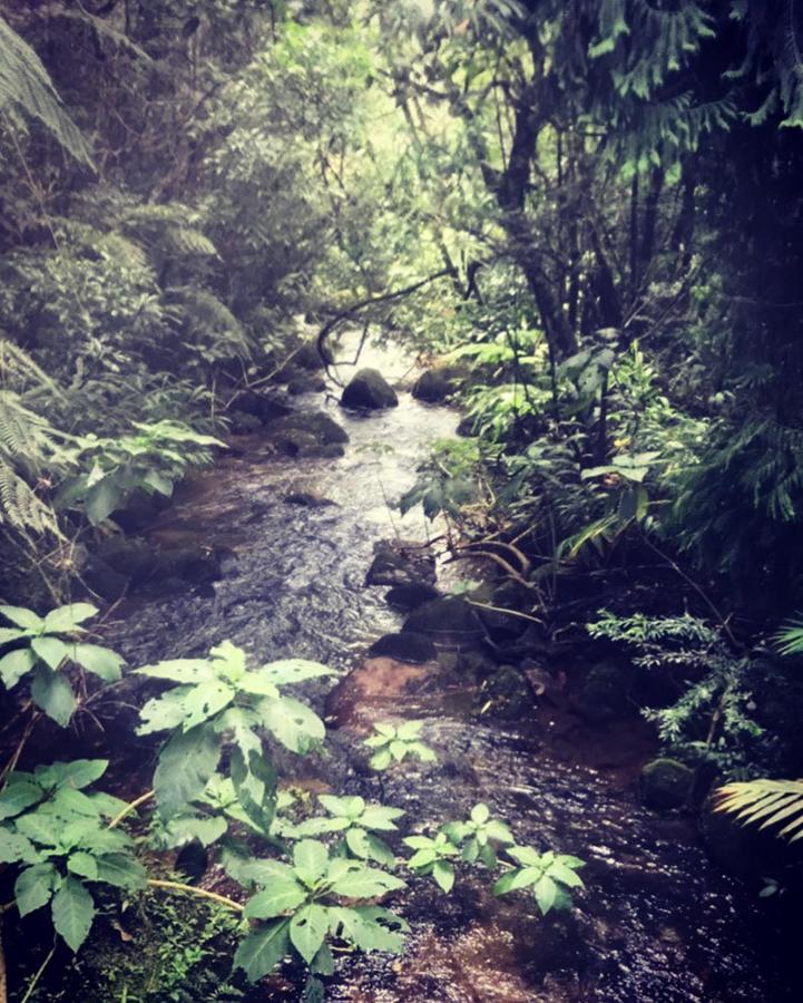 מלון Petrópolis Pinheiros Do Rocio מראה חיצוני תמונה