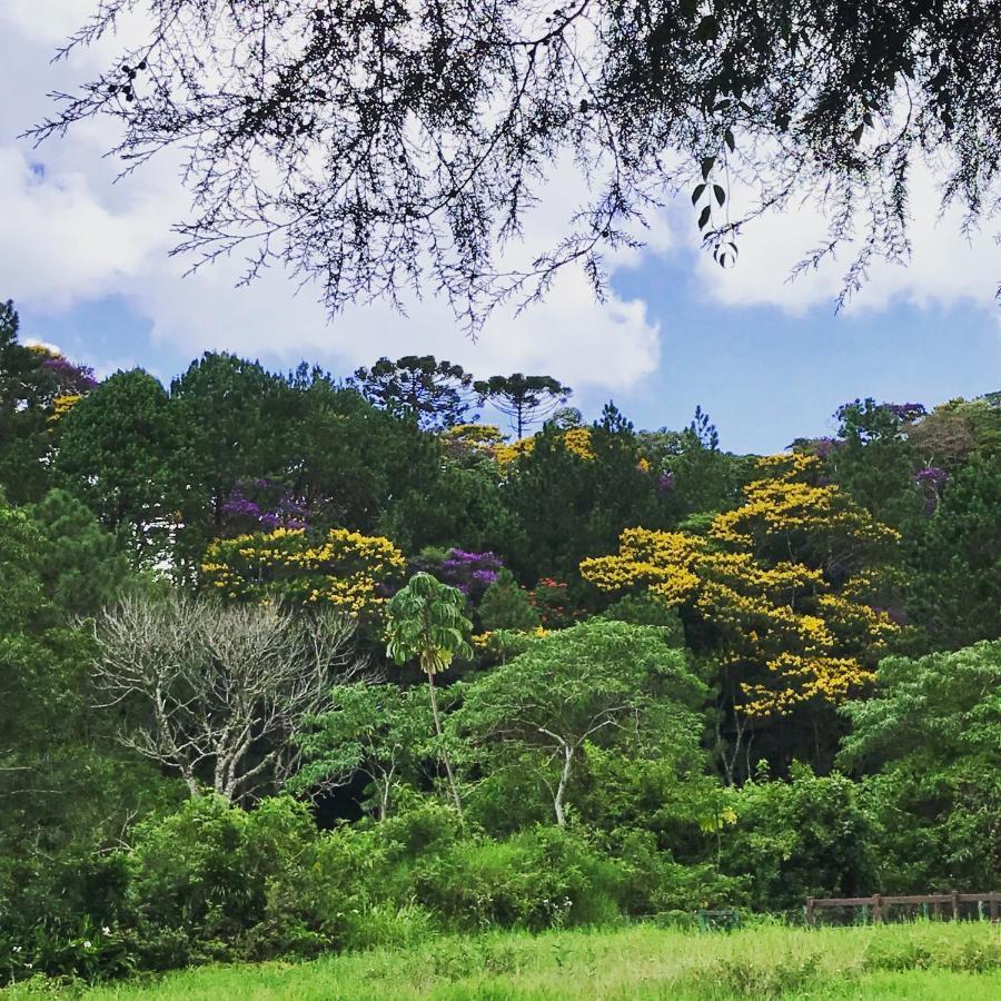 מלון Petrópolis Pinheiros Do Rocio מראה חיצוני תמונה