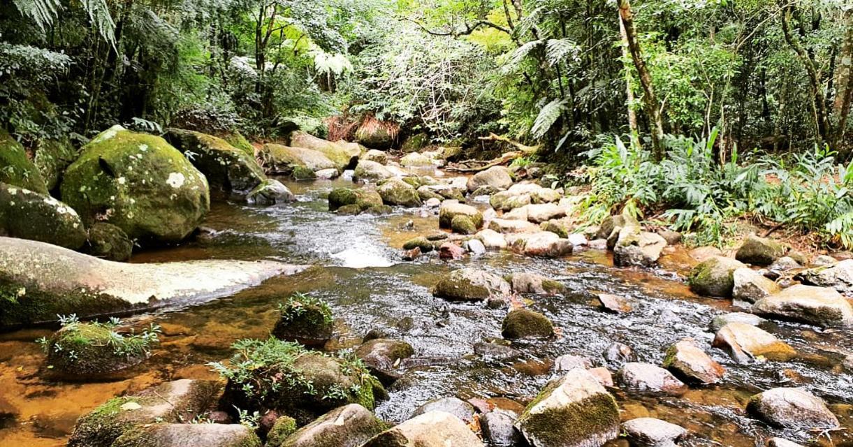 מלון Petrópolis Pinheiros Do Rocio מראה חיצוני תמונה