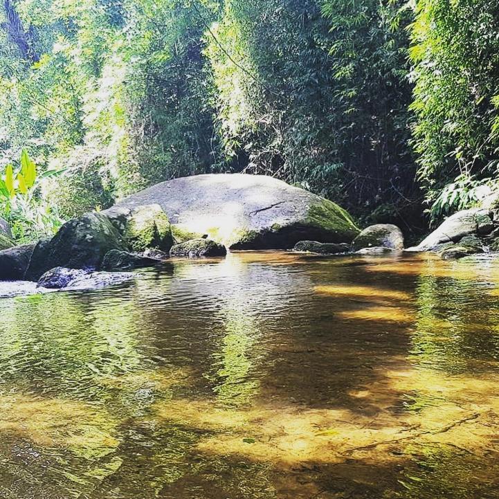 מלון Petrópolis Pinheiros Do Rocio מראה חיצוני תמונה