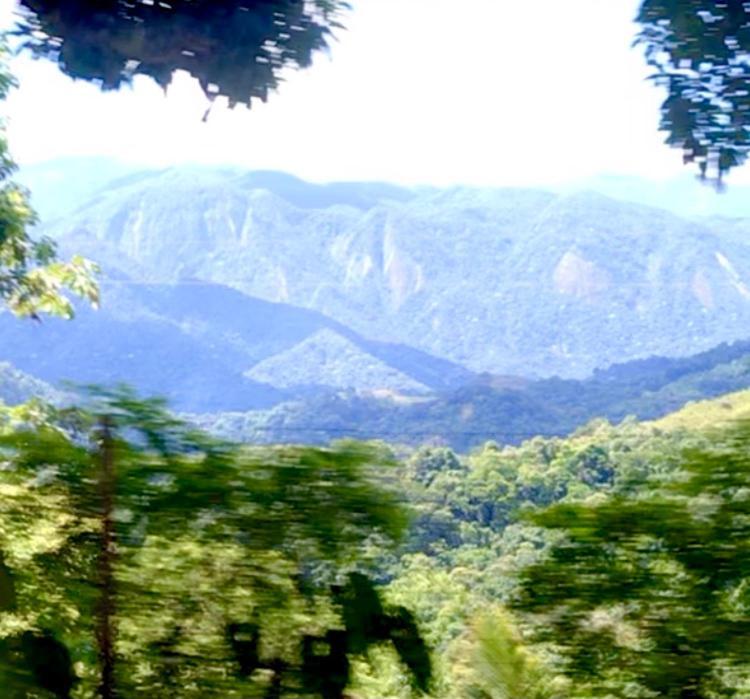 מלון Petrópolis Pinheiros Do Rocio מראה חיצוני תמונה